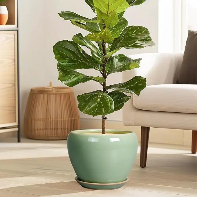 8 Inch Plant Pot - Ceramic Planter for Outdoor Plants Indoor Plant Pot with Drainage Hole and Saucer Mid-Century Round Planter Flower Pot for House Garden Green by GreenHaven Gardens