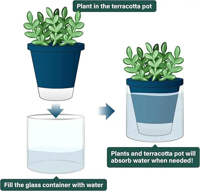 D'vine Dev 4 Inch Design Self Watering Planter for Indoor Plants, Blue Terracotta Pot with Cylinder Glass Cup, 37-X-A-4 by GreenHaven Gardens