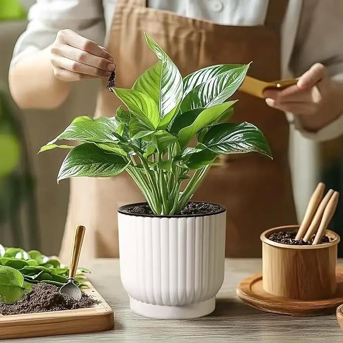 T4U 7 Inch Self Watering Pots for Indoor Plants, 4 Pack White Plastic Flower Pots for All House Plants, Flowers, African Violets by GreenHaven Gardens