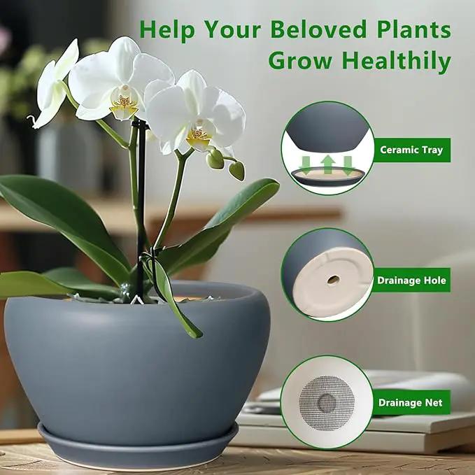 Ceramic Plant Pot - 11 Inch Planter for Indoor Plants Large Plant Pot with Drainage Hole and Saucer Round Outdoor Planter Modern Flower Pot for Home Decor Gray by GreenHaven Gardens