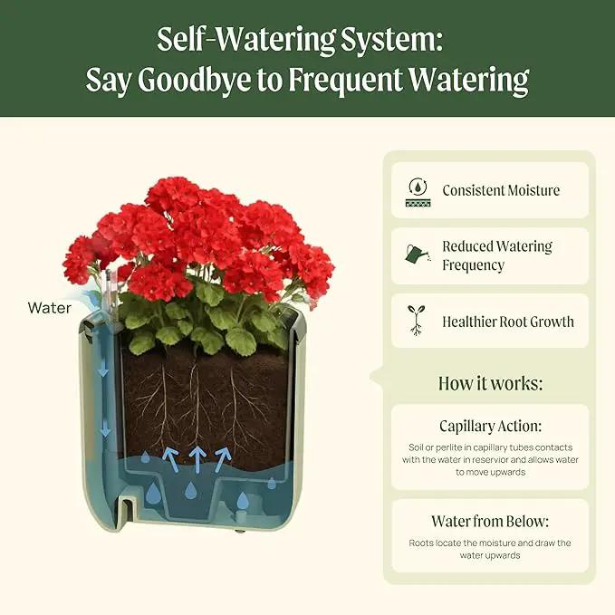 Vego garden Mini Planter Indoor Pots with Trellis Self-Watering Herb Countertop Planter for Climbing Vegetables Flowers Mint Plants Cage- Cream White by GreenHaven Gardens