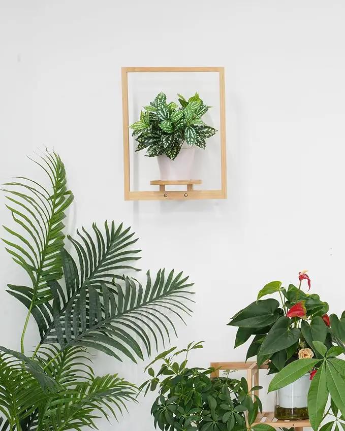 yadoker Wall Planters for Indoor Plants,Bamboo Hanging Plant Holders, Wall Decor Plant Stand, 1-Pack Window Plant Shelves for Living Room & Entryway by GreenHaven Gardens