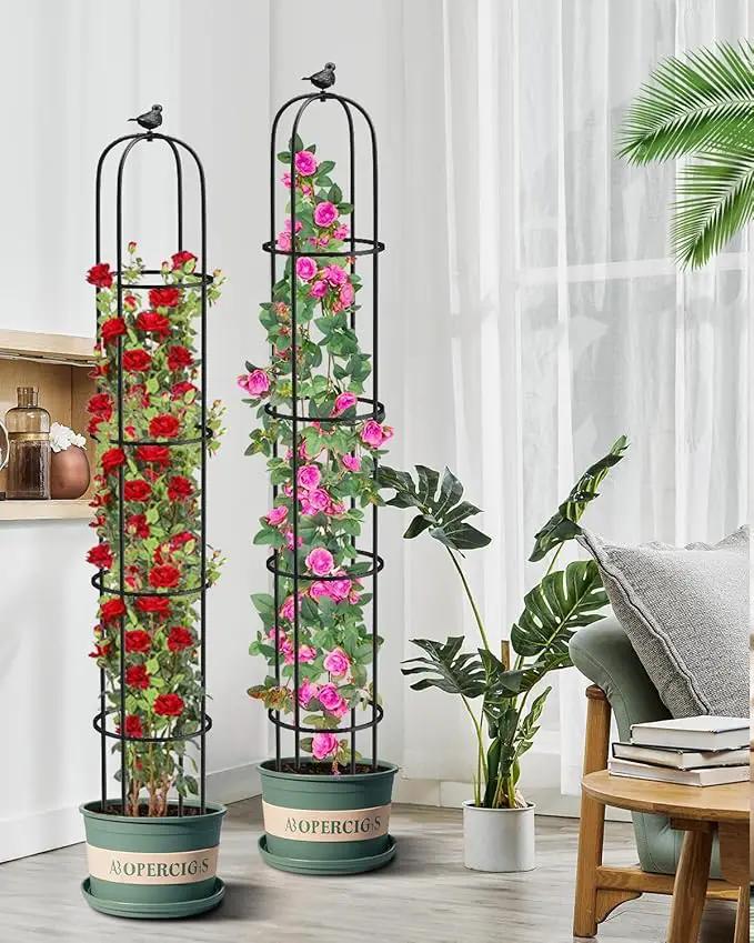 2 Pcs Garden Trellis for Climbing Plants, 6.2 Ft Rustproof Metal Pipe with Heavy Duty Plastic Coated, Garden Outdoor Indoor Potted Plant Support, Obelisk Garden Trellis for Climbing Vine by GreenHaven Gardens