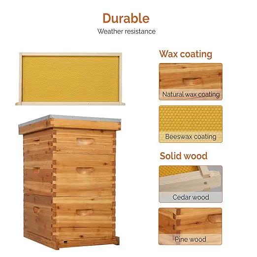 VINGLI 10-Frame Bee Hive, Wax Coated Beehive Starter Kit with Frames & Beeswax Coated Foundation Sheets (3 Layer) by GreenHaven Gardens