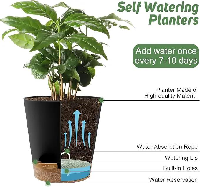 8-Inch Plant Pots, Self-Watering Planters with Drainage Holes & Saucers for Indoor and Outdoor Plants (2-Pack,Black) by GreenHaven Gardens
