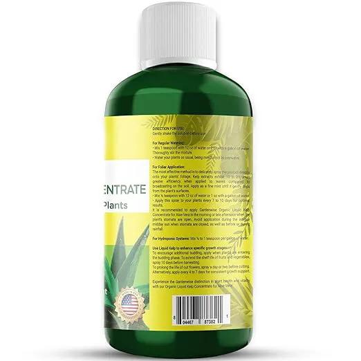 Organic Premium Kelp Seaweed Fertilizer - Liquid Hydroponics Fertilizer - Liquid Plant Food - Nutrient-Rich Soil Enhancer - Natural Plant Food for Aloe Vera (32 OZ) by GreenHaven Gardens