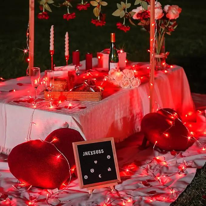 JMEXSUSS Red Christmas Lights Clear Wire, 66ft 200 LED Red Christmas String Lights Outdoor Indoor Plug in, 8 Modes Red String Twinkle Fairy Lights for Room Party Tree Decorations by GreenHaven Gardens