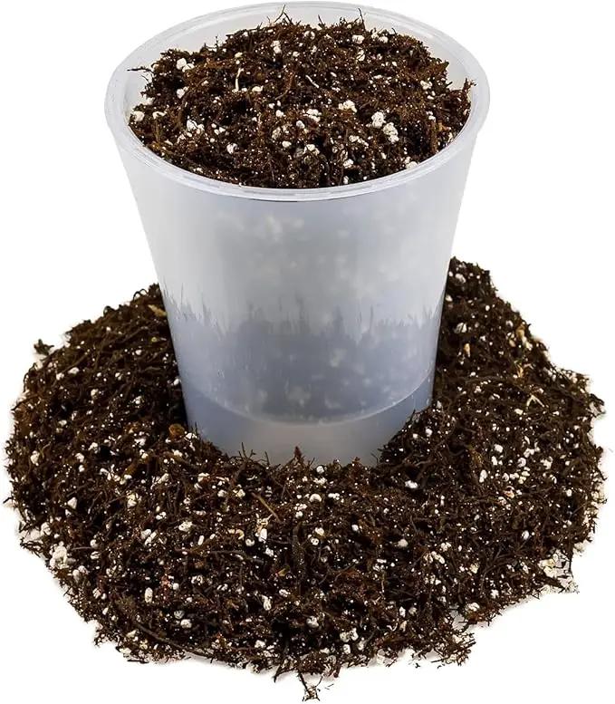 Fern + Perlite Soil Mix - 10 Quart - for Repotting and Planting Succulents and Cactuses (2 Bags of 5 Quart) by GreenHaven Gardens