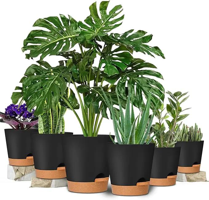 GARDIFE Plant Pots 8/7/6.5/6/5.5/5 Inch Self Watering Planters with Drainage Hole, Plastic Flower Pots, Nursery Planting Pot for All House Plants, African Violet, Flowers, and Cactus,Black by GreenHaven Gardens