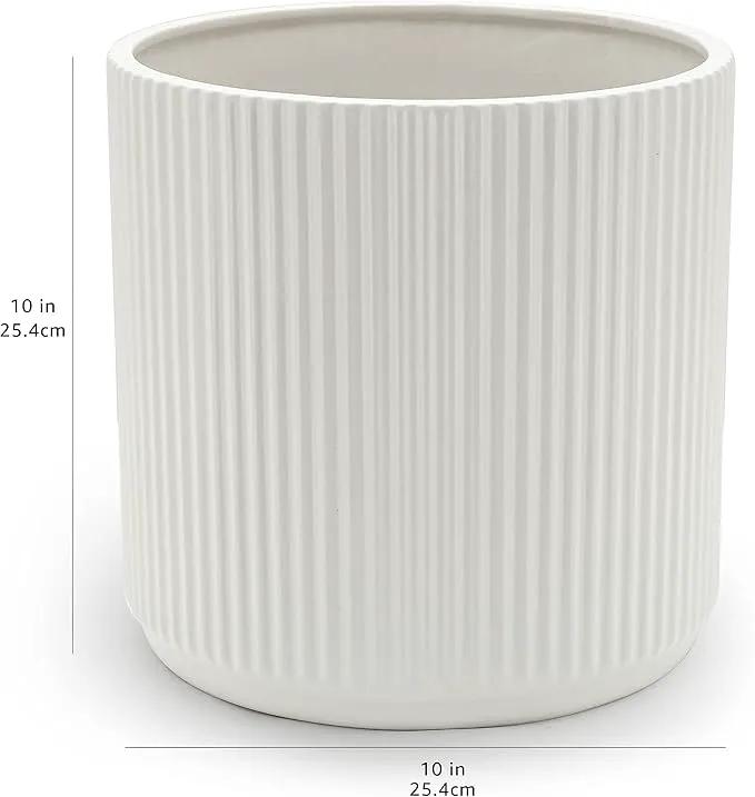Amazon Basics Fluted Ceramic Round Planter, 10-Inch, White by GreenHaven Gardens