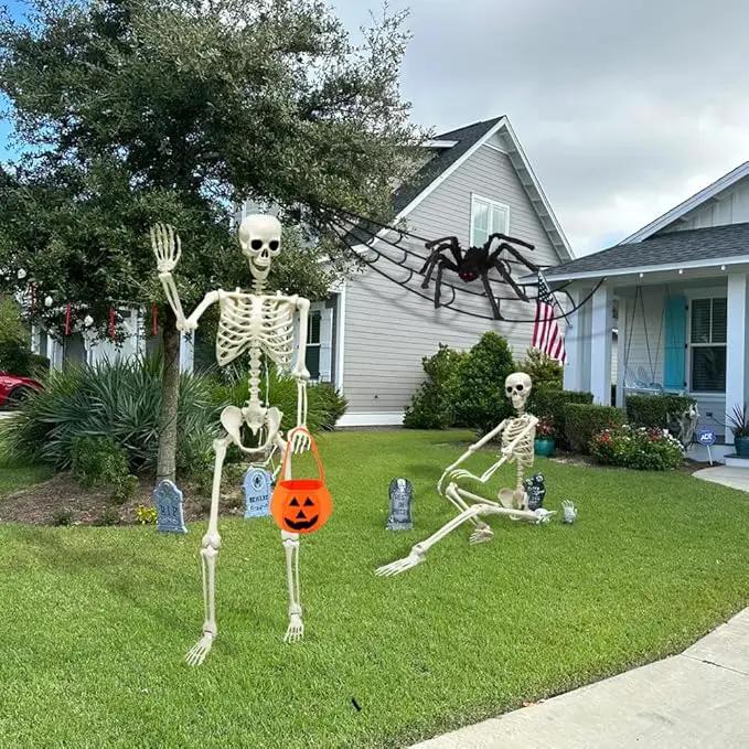 DINESIL 5.4ft/165cm Halloween Skeleton, Halloween Life Size Skeleton with Spider Pumpkin Bag, Full Body Human Bones with Movable Joints for Halloween Indoor Outdoor Haunted House Decorations by GreenHaven Gardens