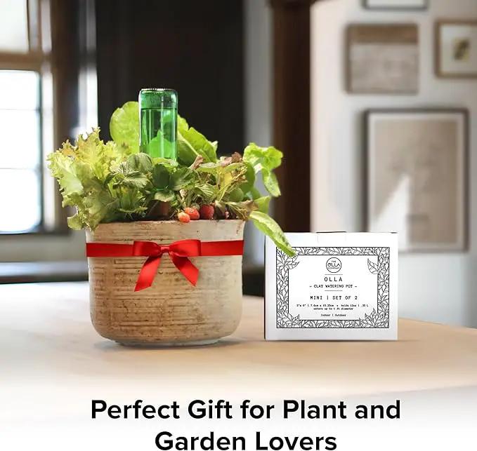 Classic Olla Watering Pot Mini – Set of 2 | Holds 12 Ounces | Plant Watering Bulb Olla Watering System with Terra Cotta Irrigation Pots | Self Watering While on Vacation | The Olla Company by GreenHaven Gardens