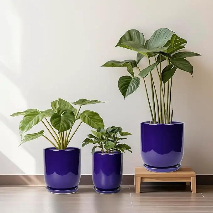 Ceramic Plant Pot - 8 Inch Planter for Indoor Plants Outdoor Flower Pot with Drainage Hole and Saucer Home Patio Office Decor Blue by GreenHaven Gardens