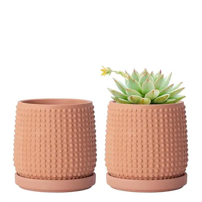 D'vine Dev Set of 2 Ceramic Plants Pots, 4 Inch Beaded Stoneware Flower Pot for Plants with Drainage Hole and Saucer, Terracotta, 27-E-Z-7 by GreenHaven Gardens