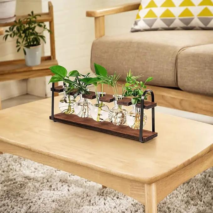 THYGIFTREE Plant Propagation Stations with Wooden Stand, Desktop Retro Plant Terrarium Bulb Vase for Indoor Hydroponic Flowers, Tabletop Glass Planter Housewarming Gifts for Plant Lovers by GreenHaven Gardens