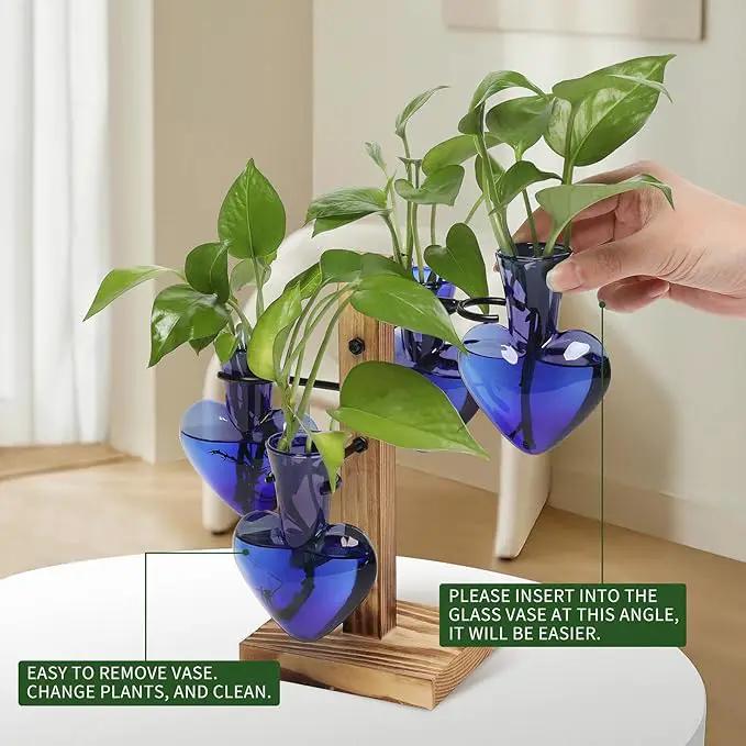 Plants Propagation Stations Plant Terrarium Kit Glass Planters for Indoor Plants House Plant Accessories Gift for Women - 4 Love Vase by GreenHaven Gardens