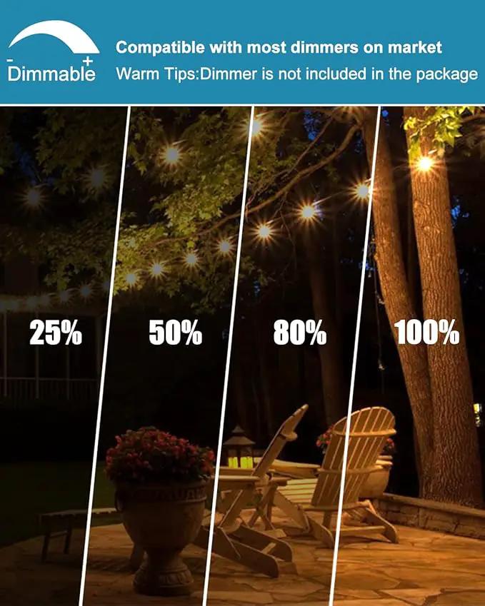 Lightdot 96FT (2x48FT) Outdoor Led Patio Lights,Led String Lights with Shatterproof Edison Vitage Bulbs, Commercial Grade Hanging Light for Patio Cafe Bistro Backyard by GreenHaven Gardens