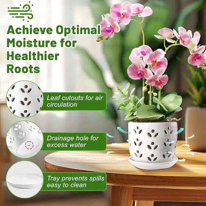 REMIAWY Orchid Pot, 2 Pack Orchid Pots with Drainage Holes and Saucer, 6 Inch and 5 Inch Large Ceramic Planter for Repotting Indoor Plants, Succulent, Decorative, Good Air Circulation, White by GreenHaven Gardens