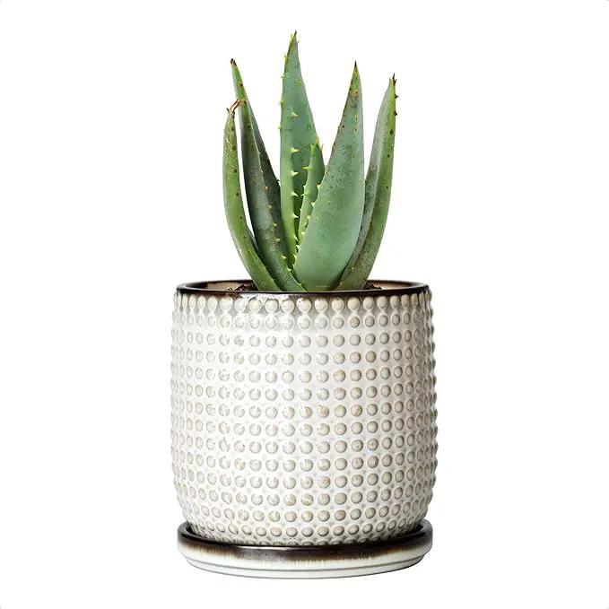 D'vine Dev 4 Inch Ceramic Beaded Stoneware Planter Pot - Flower Pot with Drainage Holes and Saucers for Indoor Succulent Plants or Flowers, Smoked White, 27-C-Z-1 by GreenHaven Gardens