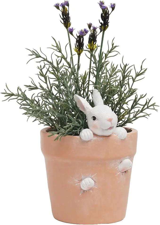 Easter - Spring Flower Pot - Bunny Decor - Easter Decoration - Decorative Garden Pots for Cactus Succulents Planter with Drainage Hole for Home Farmhouse Decor 5.75 x 5 x 7.25 inch Newman House Studio by GreenHaven Gardens