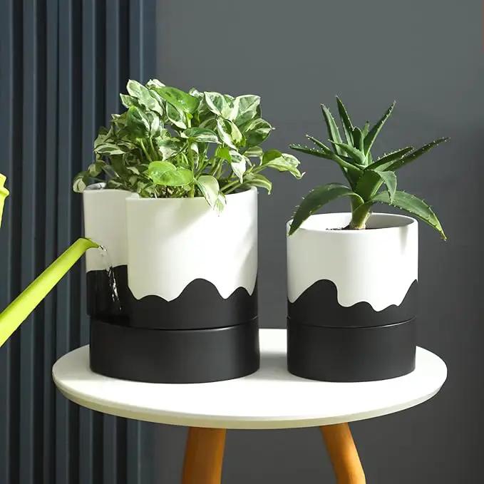 Nihow Self Watering Plant Pot: 8 Inch Ceramic Planter with Drainage Hole & Water Storage Plus for Indoor & Outdoor Plants - Cylinder Round Flower Pot for Succulent/Herbs/Violets - White & Wave Black by GreenHaven Gardens