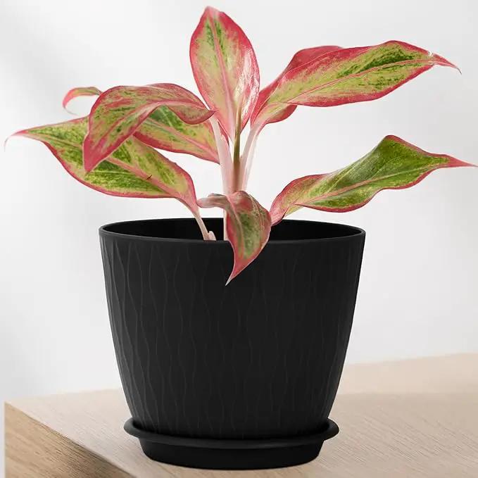Plant Pots – 6 Inch Planters with Drainage Holes and Saucers, Flower Pots for Indoor and Outdoor Plants, Nursery Planting Pots (Pack of 5, Black) by GreenHaven Gardens