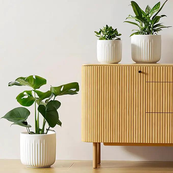 LE TAUCI Fluted Ceramic Planters Set of 3 – 8.3/7 / 5.7 in White Cylinder Indoor Plant Pots with Drainage Plug & Mesh, Matte Glazed Stoneware Flower Pots for Succulent Herb Cactus by GreenHaven Gardens