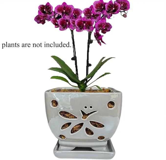 Orchid Pots with Holes Square Ceramic Orchid Planter Pots 5.5 inch (Gray) by GreenHaven Gardens