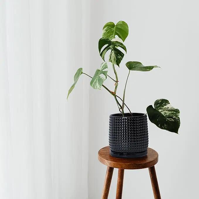 D'vine Dev Set of 2 Ceramic Plants Pots, 6 Inch Beaded Stoneware Flower Pot for Plants with Drainage Hole and Saucer, Glossy Black, 27-E-X-2 by GreenHaven Gardens