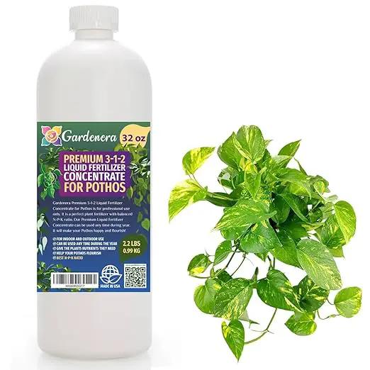 Premium Liquid POTHOS Plant Fertilizer - 3-1-2 Concentrate for Indoor Plants and Flowers by Gardenera | Organic Plant Food for Pothos Plants - 32oz by GreenHaven Gardens