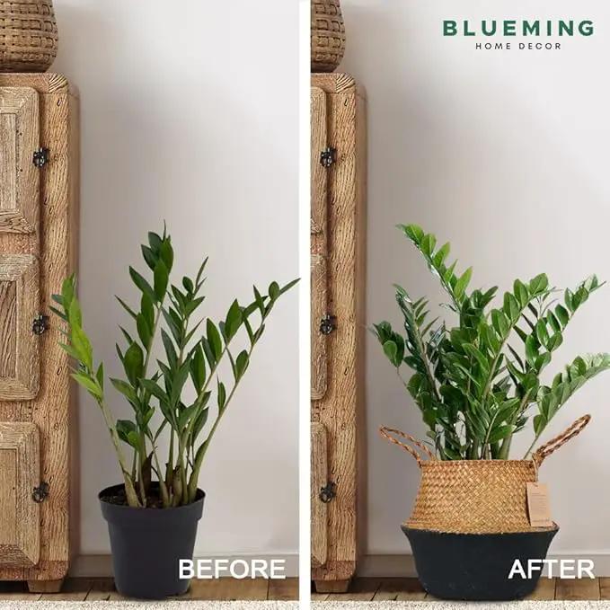 Plant Basket – Small Seagrass Planter Pot for Olive Trees, Woven Wicker Planter 8-9 Inches for Indoor Tall Artificial Plants (Black Bottom, Medium) by GreenHaven Gardens