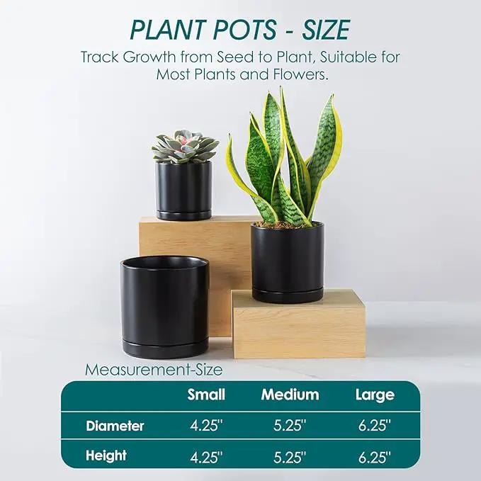 vancasso Ceramic Plant Pots, 3 Piece Planters for Indoor Plants, 4.25+5.25+6.25 Inch Flower Pots with Drainage, Plant Pots Indoor for Succulent, Pothos, Snake Plant and Money Tree, Etc (Black) by GreenHaven Gardens