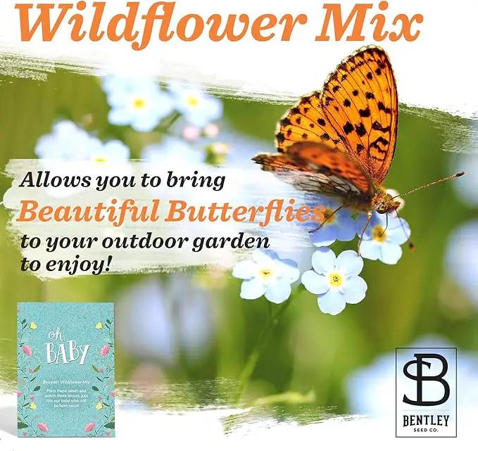 Bentley Oh Baby Wildflower Seed Packets, 25 Non-GMO Pre-Filled Favors for Baby Shower Guests, Wild Flower Party Gifts for Boys or Girls by GreenHaven Gardens