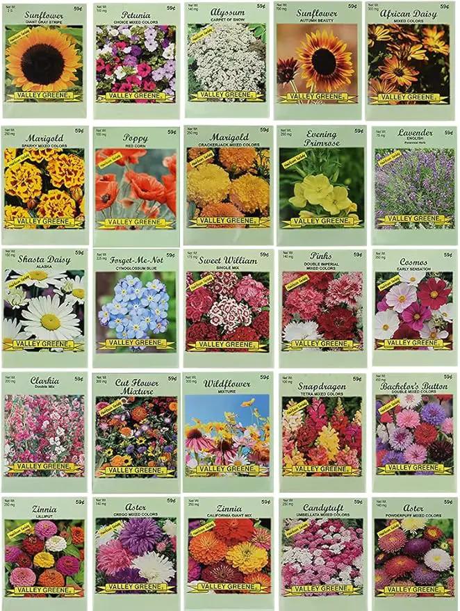 25 Flower Seed Packets Including 10+ Varieties - May Include: Forget Me Nots, Pinks, Marigolds, Zinnia, Wildflower, Poppy, Snapdragon and More - Made in The USA by GreenHaven Gardens