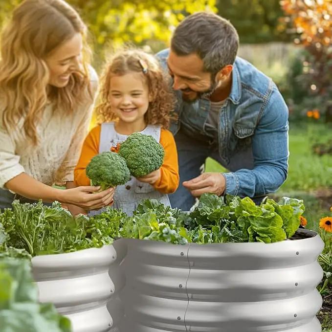 2x2x1ft Round Galvanized Raised Garden Bed Outdoor Metal Planter Box Raised Beds for Gardening,Vegetables,Fruits,Flowers & Herbs (Silver) by GreenHaven Gardens