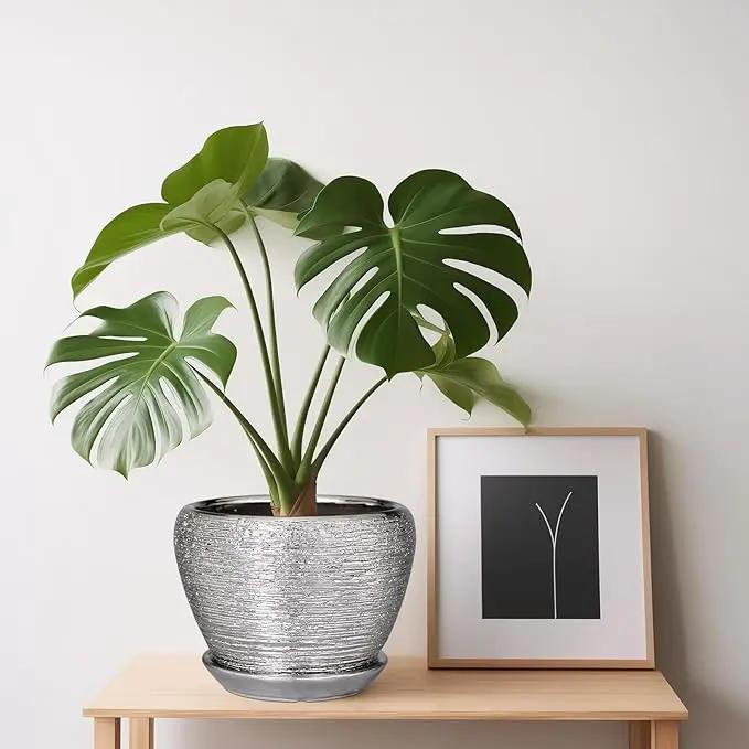 Ceramic Planter - 6 Inch Plant Pot Indoor with Drainage Hole and Saucer Outdoor Pot for Plants Round Decorative Planter Modern Mid-Century Flower Pot for Office Decor Silver by GreenHaven Gardens