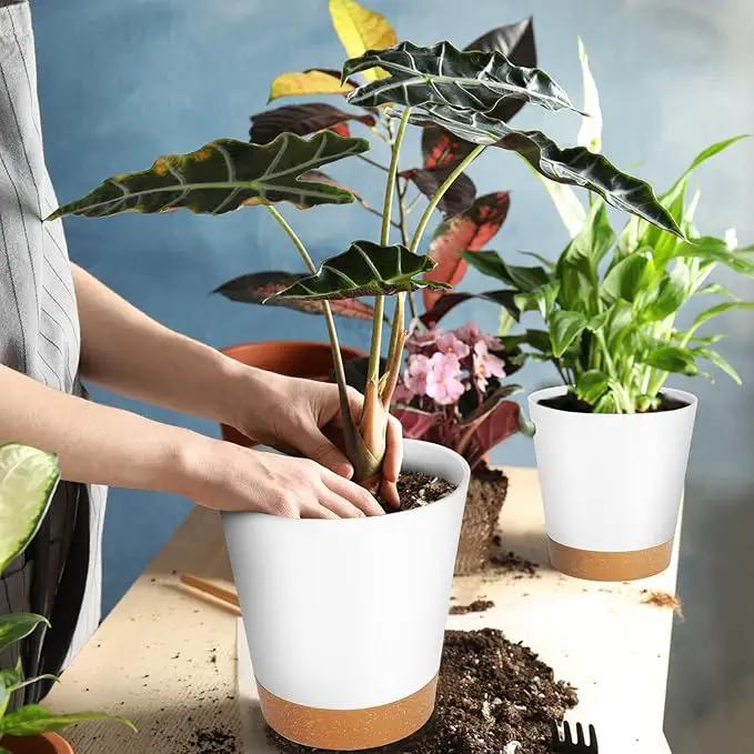 GARDIFE Plant Pots 8/7/6.5/6/5.5/5 Inch Self Watering Planters with Drainage Hole, Plastic Flower Pots, Nursery Planting Pot for All House Plants, African Violet, Flowers, and Cactus,White by GreenHaven Gardens