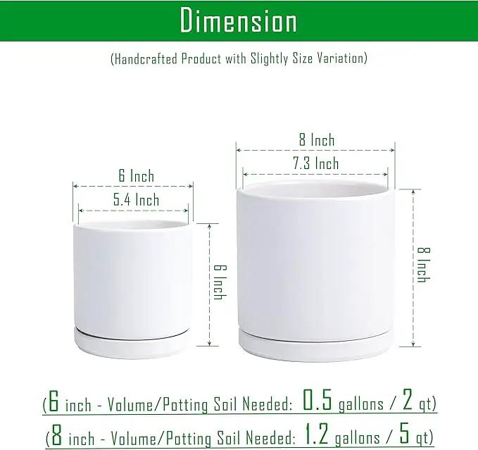 D'vine Dev 6 Inch & 8 Inch Ceramic Planter Pots for Plants with Drainage Hole and Saucer, Medium Plant Pots Set, White, 94-G-M-1 by GreenHaven Gardens