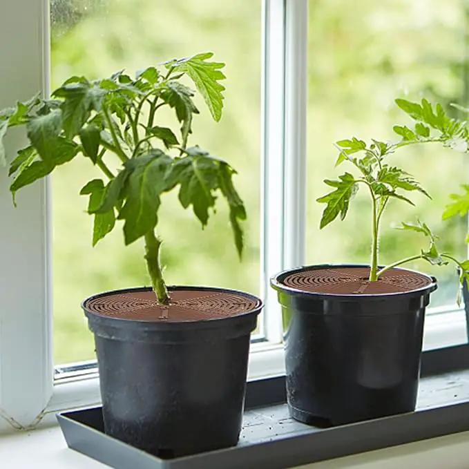 6 Pcs Plant Pot Grid Cover Protectors from Animals- Diameter 11.8" Cuttable Flower Pot Cover with 48 Stakes, Keep Cats Out of Potted Plants, Cat Digging Stopper Baby Safety Soil Cover for Indoor by GreenHaven Gardens