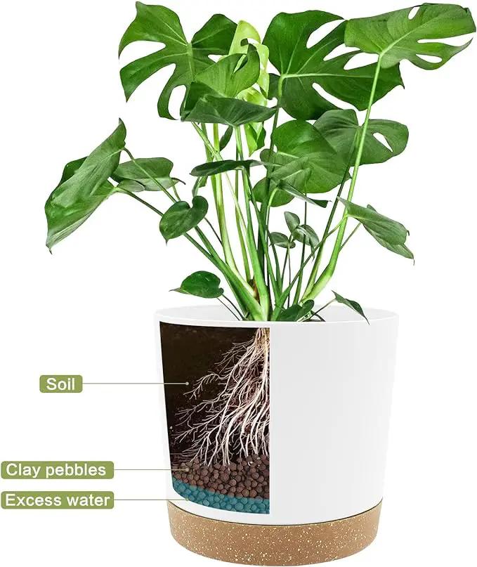 QCQHDU 10 inch Plant Pot, 2 Pack Planters for Indoor Plants with Drainage Holes & Saucer, Outdoor Flower Pots Home Garden Modern Decor by GreenHaven Gardens