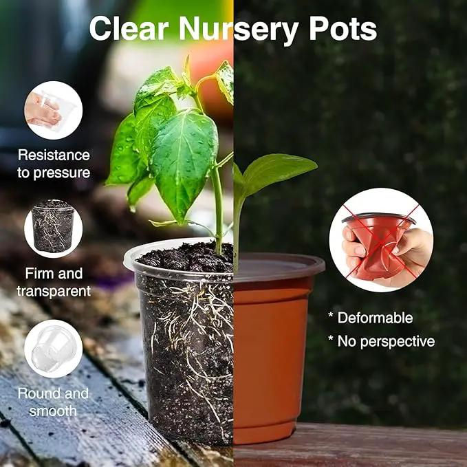 Bonviee Clear Nursery Pots for Plants, 4 Inch Plastic Seedling Pots with Drainage Holes, Planters for Indoor Plants and Small Seed Starters, High Transparency Flower Pots with 20 Plant Labels, 60 Pack by GreenHaven Gardens