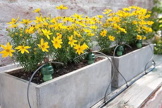 Blumat Drip Irrigation System - Tropf Patio and Deck Starter Kit - Automatic Plant Watering Devices - Easy Setup Self Watering System for Indoor - Prevents Overwatering by GreenHaven Gardens
