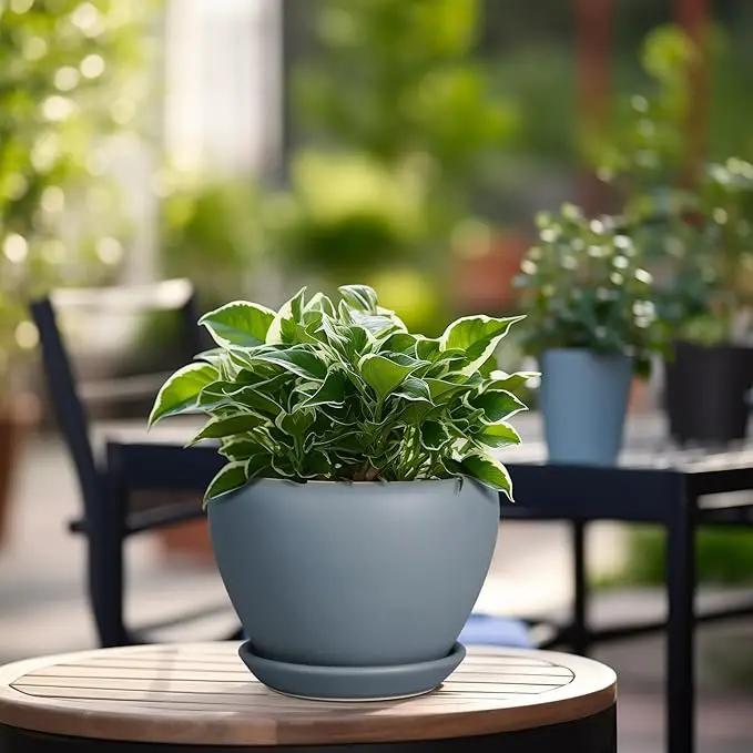 Ceramic Pot for Plants - 6 Inch Plant Pot Indoor with Drainage Hole and Saucer Decorative Planter for Outdoor Plants Modern Succulent Pot Round Flower Pot Gray by GreenHaven Gardens