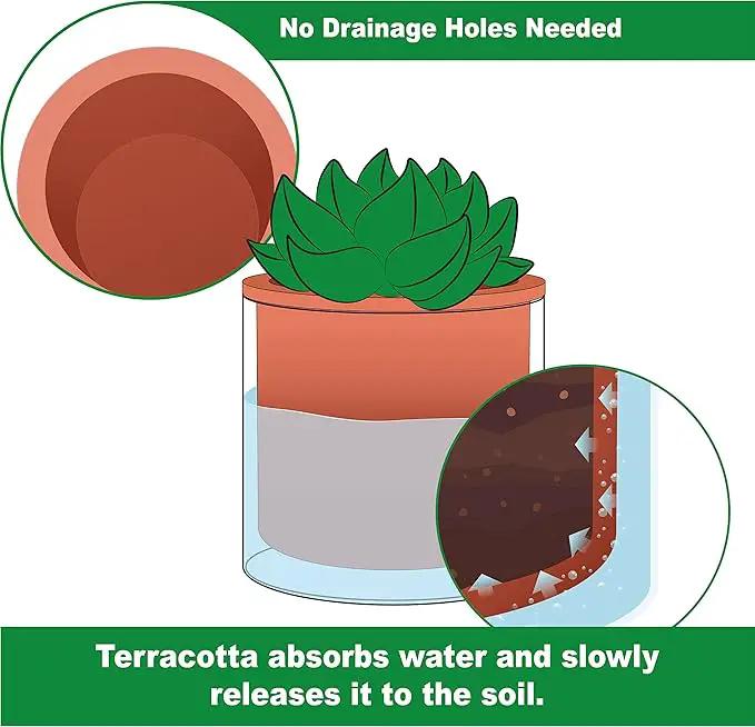 Phoenix Vine 6 Inch Self Watering Plants Pot, Design Terracotta Pot for Plants, Indoor Cylinder Terra Cotta Planter with Glass Vase, Set of 1, 51-A-F-1 by GreenHaven Gardens