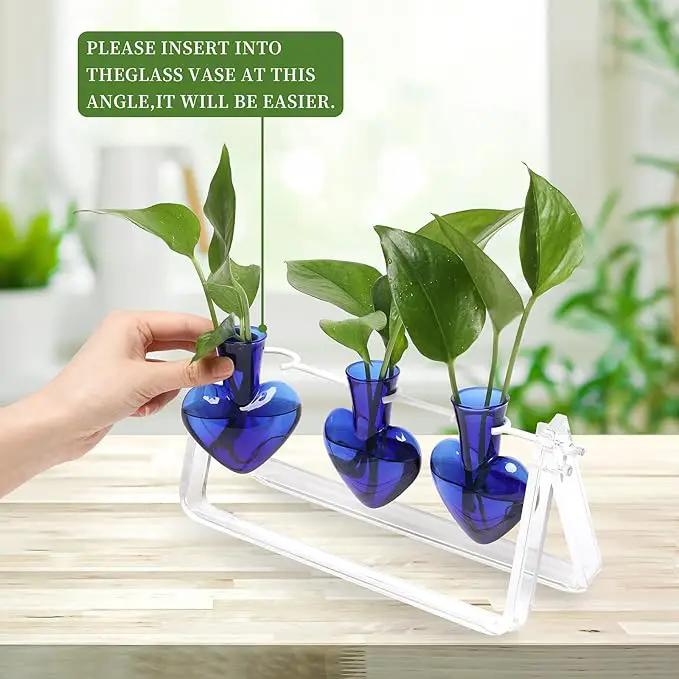 Plant Terrarium Propagation Stations with Wooden Stand Birthday Gifts for Women Plant Stand Indoor Office Home Decor by GreenHaven Gardens