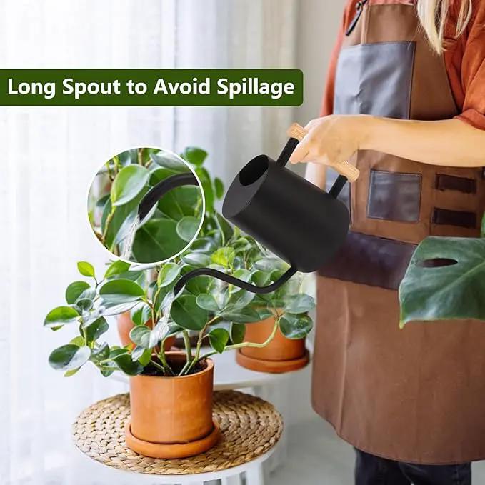 Plant Watering Can,35oz Metal Watering Can,Stainless Steel Watering Can Indoor Plants with Long Curved Spout,Small Watering Can for Indoor Plants,Bonsai Outdoor Garden Modern Decorative(Black) by GreenHaven Gardens
