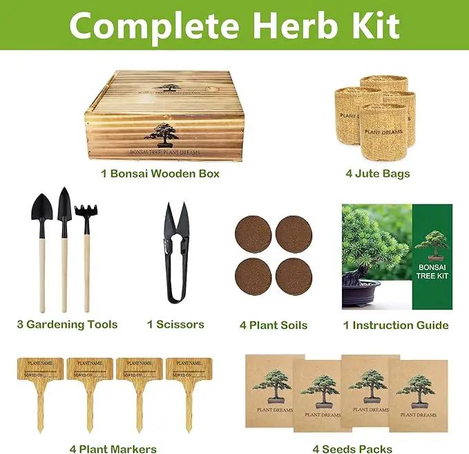 Bonsai Tree Kit, Bonsai Starter Kit with 4 Bonsai Tree Seeds, Tools & Planters, Bonsai Tree Live Plants Indoor, Gardening Gifts for Women Men Mom Father Plant Lover, Unique Christmas Gifts by GreenHaven Gardens