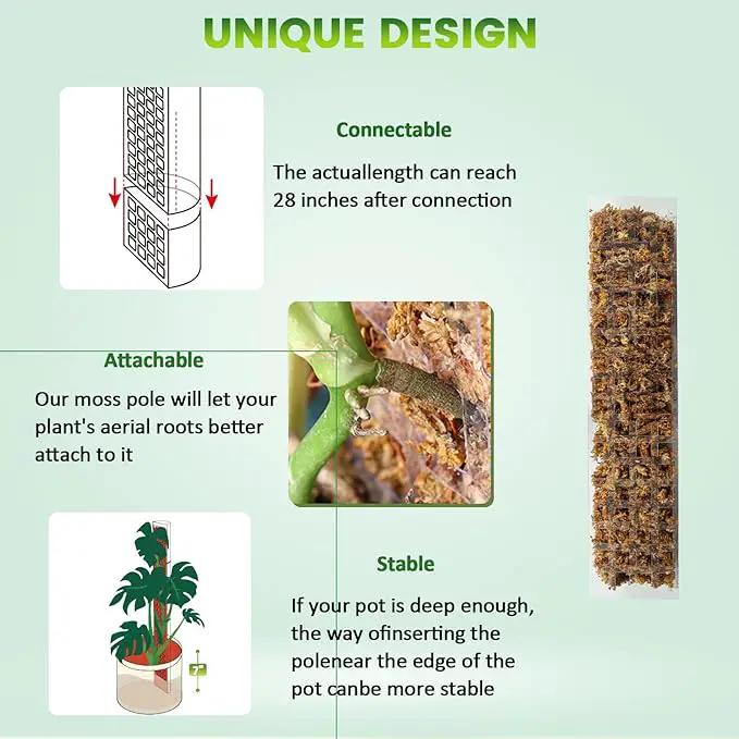 EOX 4 Pcs 15 Inch Plastic Moss Pole for Plants Monstera Set with 150g Sphagnum Moss, Plant Poles for Climbing Plants, Plant Support for Indoor Plants, Garden Ties by GreenHaven Gardens