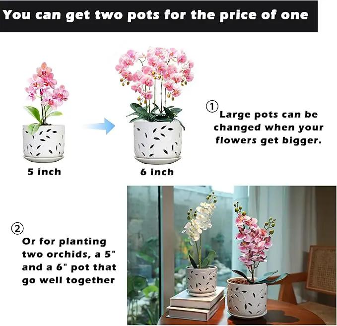 KERUITA Orchid Pots with Holes,6 inch + 5 inch Ceramic Planters Set of 2 with 2 Bottom Tray, Enhanced Drainage and Ventilation,White Flower Pots for Indoor/Outdoor Plants for Repotting by GreenHaven Gardens