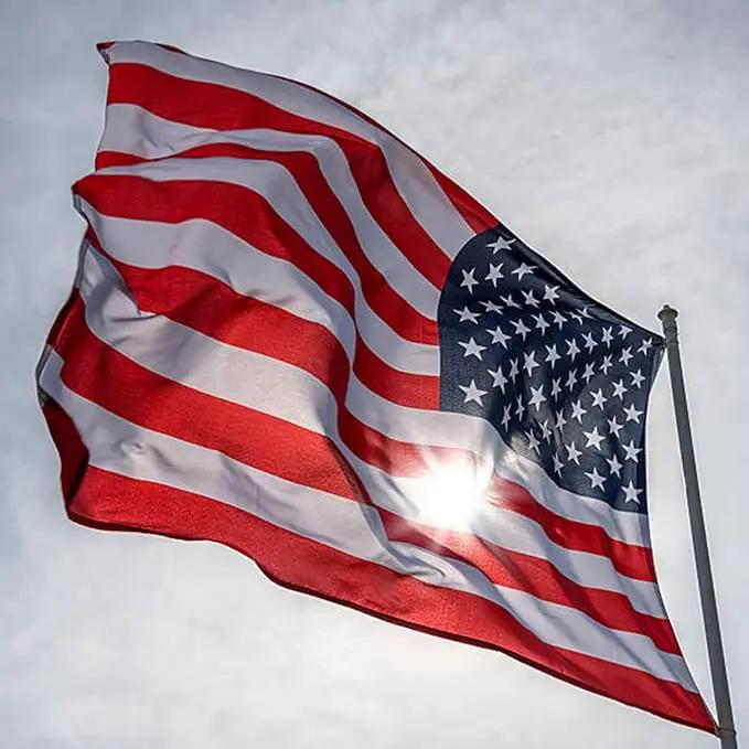 Homissor American Flag 10x15 for Outside US Flags Outdoor Heavy Duty United State USA Flag Embroidered Stars for All Weather High Wind Sewn Stripes With Brass Grommets by GreenHaven Gardens